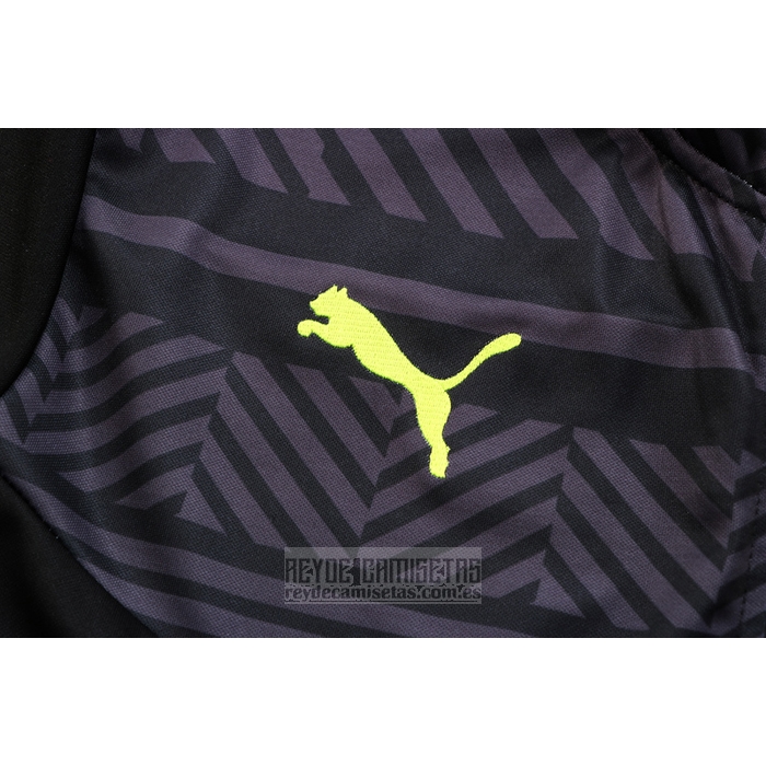 Chandal de Chaqueta del Borussia Dortmund 2022-2023 Gris